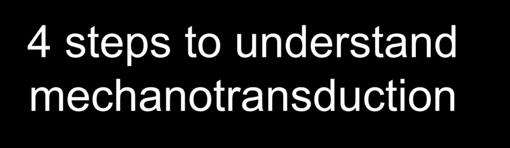 4 steps to understand mechanotransduction 1. Cellular anatomy 2.