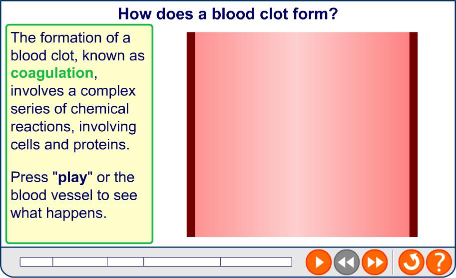 Blood clotting 15 of