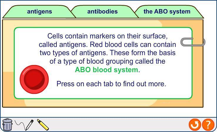 ABO blood grouping 23