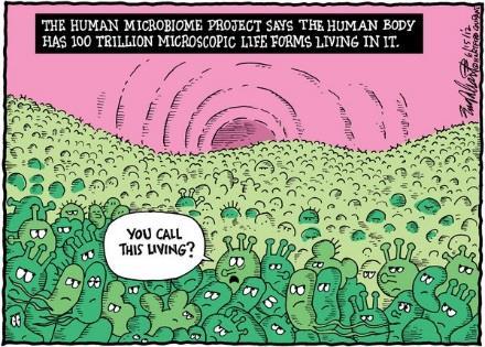 What is the gut microbiome? We have 10x more bactetrial cells in our bodies than human cells We are walking ecosystems!