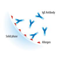 Laboratory measurement of allergenspecific serum IgE levels The allergen of interest, covalently coupled to the solid phase, reacts with the specific