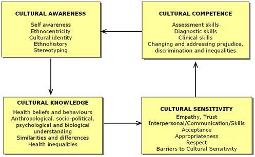 Understanding Cultural Diversity Papadopoulos,