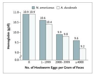 Significant association between STH/SCH & anemia Severity of anemia is worm burden dependent Anemia in moderate or heavy hookworm infection Even light infection can significantly decrease Hb level in