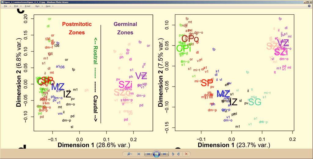 Samples cluster by layer and region Unbiased clustering of samples (MDS using all genes) groups samples by layer and location in neocortex.