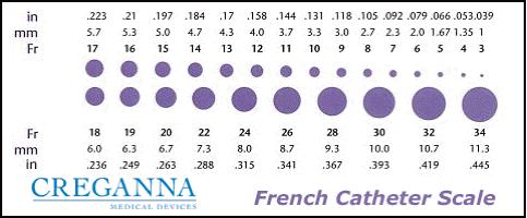 Feeding Tube Sizes Sizes are listed in French (Fr) based on the diameter of the