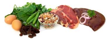 Vitamin D Essential for bone health Good sources of calcium include dairy,