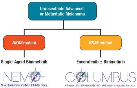 Conclusions Overall, binimetinib and encorafenib have demonstrated promising efficacy and acceptable safety profiles alone or in combination in NRAS-mutant or BRAF V600 mutant metastatic cutaneous