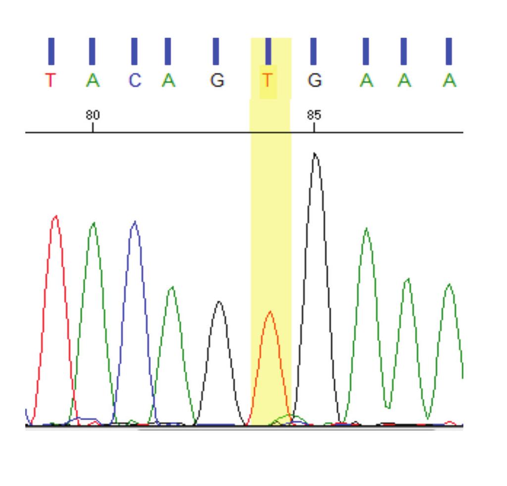 A Comparison with Sanger Sequencing 5 VI.