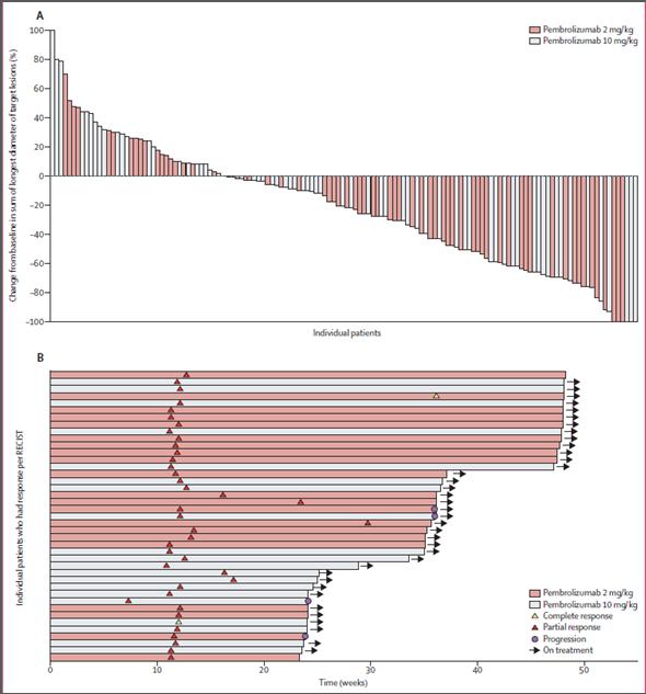 Anti programmed death receptor 1 treatment with pembrolizumab in ipilimumab refractory advanced melanoma: a randomized dose comparison cohort of a phase 1 trial Overall Response Rate: 26% Robert et