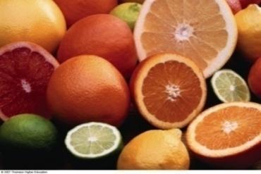 Citrus fruits: rich in flavanols (hesperidin and