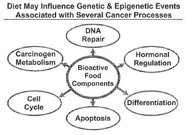receptors & gene expression Modulation of