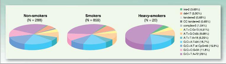Smoking and Small Cell Lung Cancer Pleasance et al.
