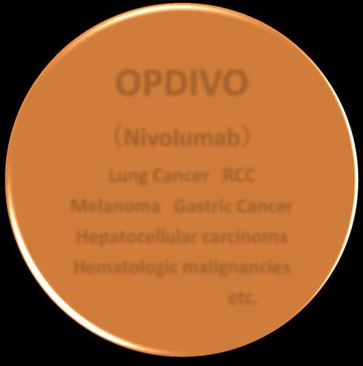 receptor agonist) (Nivolumab) Lung Cancer RCC Melanoma Gastric Cancer Hepatocellular carcinoma