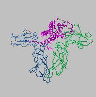 Prolactin Glycoprotein 199 A.