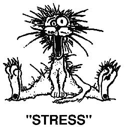 Stress and Health: Stress is defined as a condition that causes change in the internal environment (a