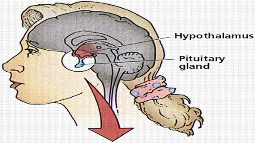 Non-Functioning Tumours and Pituitary Hormone