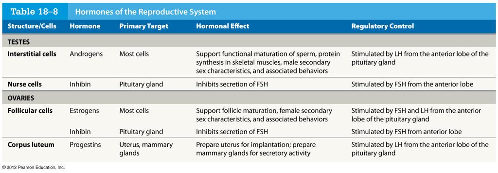 Table 18-8 Hormones of