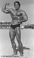 Stretched Position Overload: Arnold's Secret? Could stretched-position overload along with max-force-point attacks be Arnold's secret weapons for incredible biceps mass?
