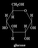 Oxygen Carbon Hydrogen Nitrogen Inorganic compounds Organic compounds Molecular