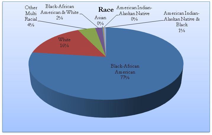 The annual demographic profile is presented below, including race 1, sexual orientation, gender, educational level, and age.