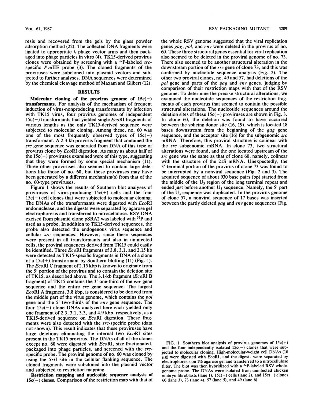 VOL. 61, 1987 resis and recovered from the gels by the glass powder adsorption method (22).