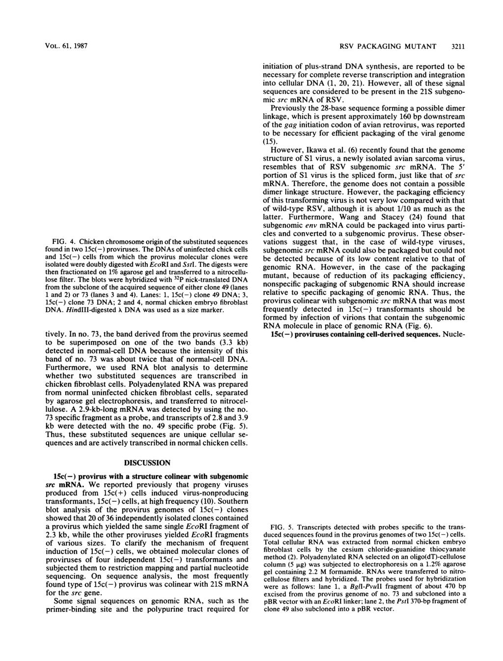 VOL. 61, 1987 1 2 4*- - _ - 9.4kb - 6.6 - - 4.4- - 23-2.0-3 4 I4 - _- FIG. 4. Chicken chromosome origin of the substituted sequences found in two 15c(-) proviruses.