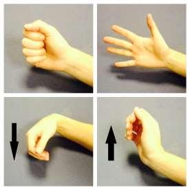 Exercises Stage 1 exercises - From Day 1 Finger exercises: Keep your fingers moving whilst you are in