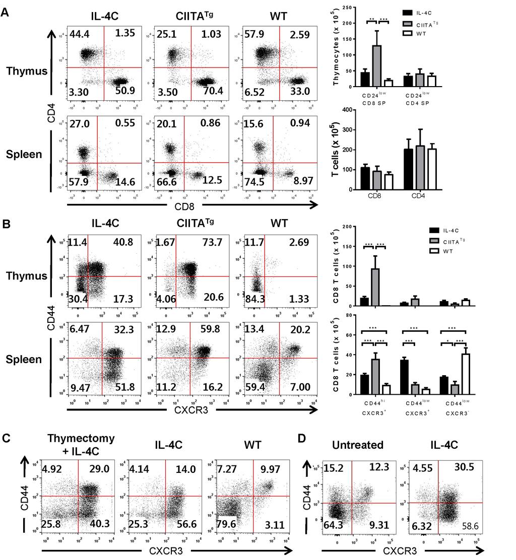 IL-4-induced Memory-like CD8 T Cells Figure 1. Generation of a memory-like CD8 T cell population by IL-4 and anti-il-4 antibody complex injections.