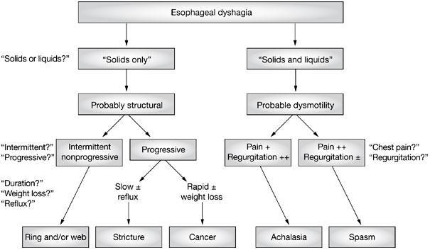 ESOPHAGEAL CAUSES FOR DYSPHAGIA Cook I et