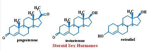 3.5: HORMONAL DIFFERENCES Considering the most obvious difference between males and females involves the reproductive system, the hormonal differences between males and females is likely to play a