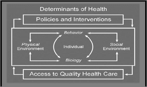 Section E: Putting It All Together You have now developed a community health assessment, compared it to a national standard list of indicators, and identified priority health issues for this