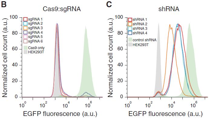 CRISPR-CAS9 and RNAi