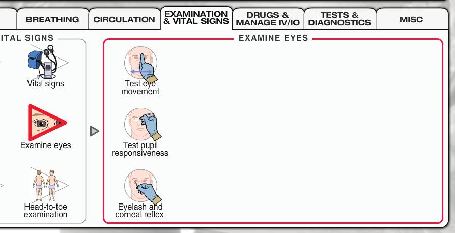 Examination & Vital Signs > Examine eyes Test eye movement Checks the eye movements of the child.