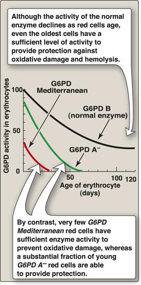 Class III (moderate): G6PD A- (African, two-point mutation) deficiency is a good example. Their residual enzyme activity ranges from 10%-60%.