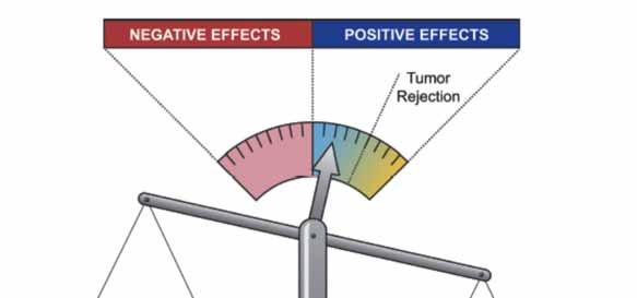 Proimmunogenic and immunosuppressive effects of radiotherapy
