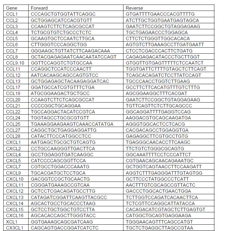 Table 4 List of the chemokine primers for realtime PCR This table was originally published in Cancer Research.