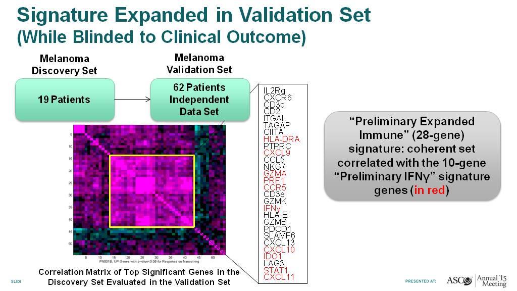 Tumor microenvironment-associated biomarkers IFN gene signatures (pembrolizumab in melanoma) Signature Expanded