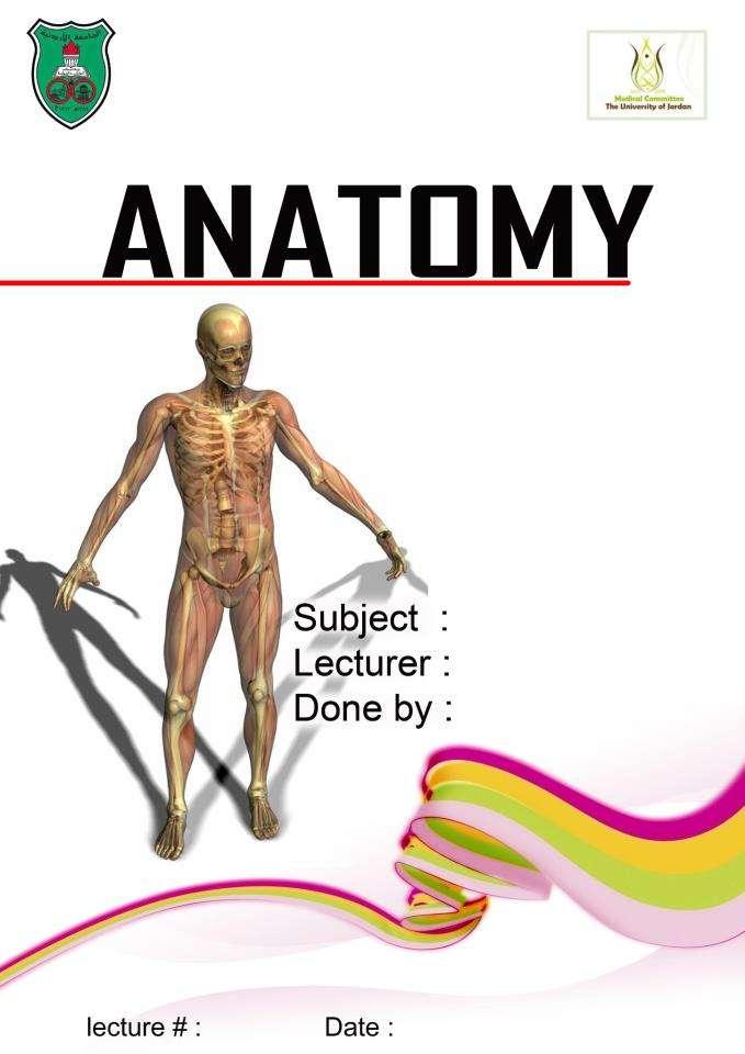 Sheet Introduction to Anatomy Dr.