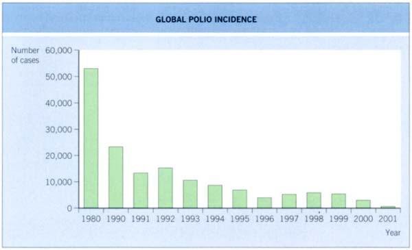 Two formulations of polio vaccine Live attenuated, oral vaccine Inactivated polio vaccine, sc Sabin vaccine Salk vaccine Live virus secreted in feces of vaccinated individuals for short time after