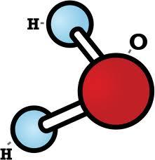 What are inorganic molecules? Molecules that CANNOT be produced by organisms.