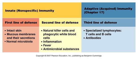 Chapter 15: Innate Immunity 1. Overview of Innate Immunity 2. Inflammation & Phagocytosis 3. Antimicrobial Substances 1. Overview of Innate Immunity Chapter Reading pp.