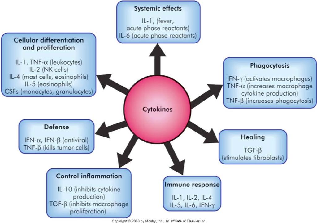 cell products Selected cytokines that mediate inflammation and the acquired immune