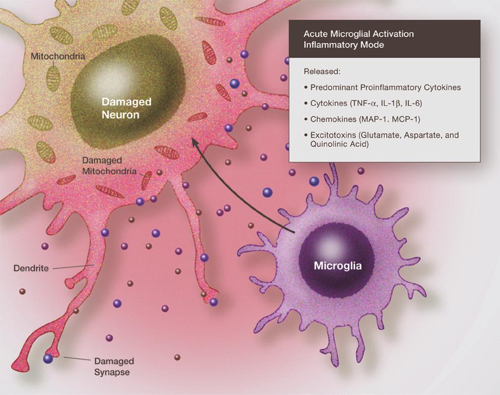 cell signaling molecules is seen with defects in Jak3, which leads to combined immunodeficiency syndrome.