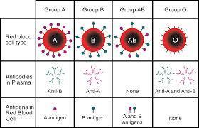 Antigens Antigens are native or foreign substances that causes the immune system to produce antibodies.