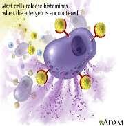 chemokines), & interferon release interferon to kill virus-infected cells.