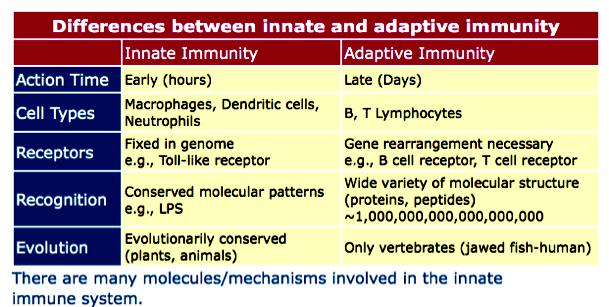 Resistance Adaptive Immune system (Antigen specific memory) Overview: Non-specific & Specific Defenses Innate: 1 st line