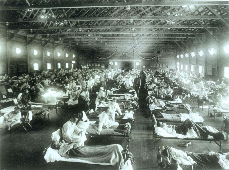 Flu Pandemic The deadly 1918 flu pandemic has been recently