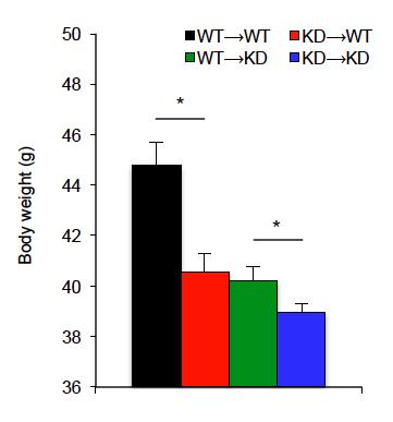 Red color represents genes increased in MφRIP140KD mice. Fig.