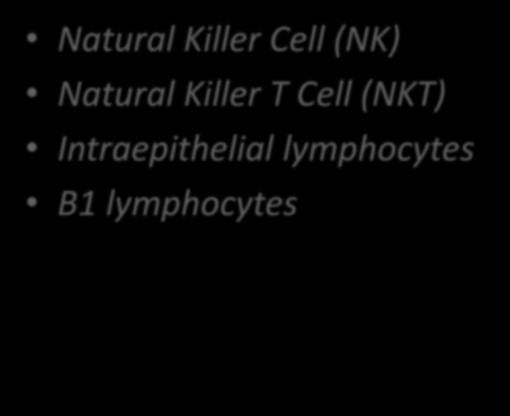 5c Lymphocytes Natural Killer Cell (NK) Natural Killer T