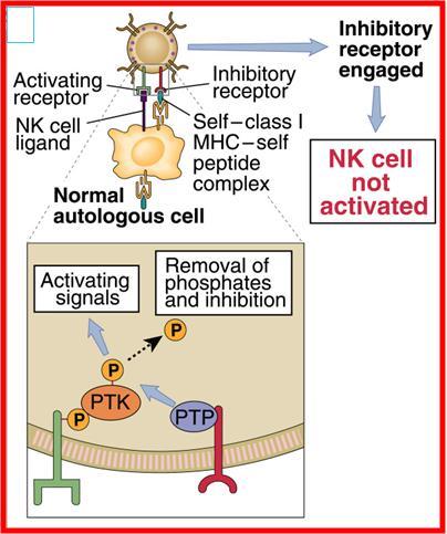 NK cells use a